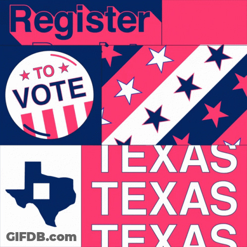 Teddy Bear Holding Sign Protect Texans Freedom To Vote How We Choose GIF