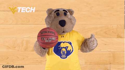 Teddy Bear Holding Spalding Basketball On Wooden Floor GIF