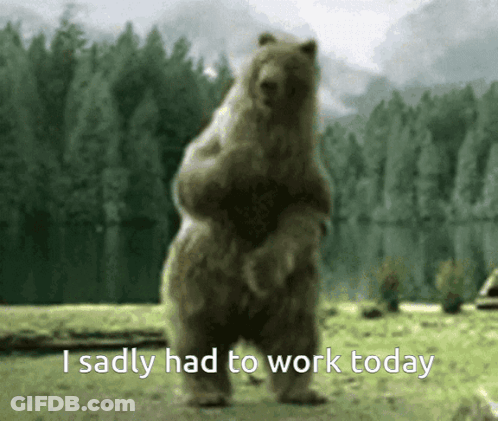 Teddy Bear Holding Stack Of Money GIF