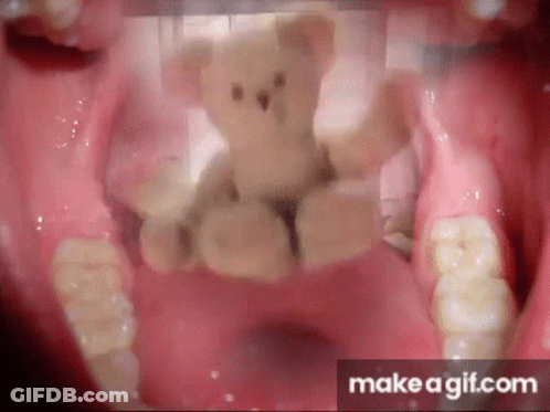 Teddy Bear Hugging Another Teddy Bear Saying My New LGBTQ Rights Ally GIF