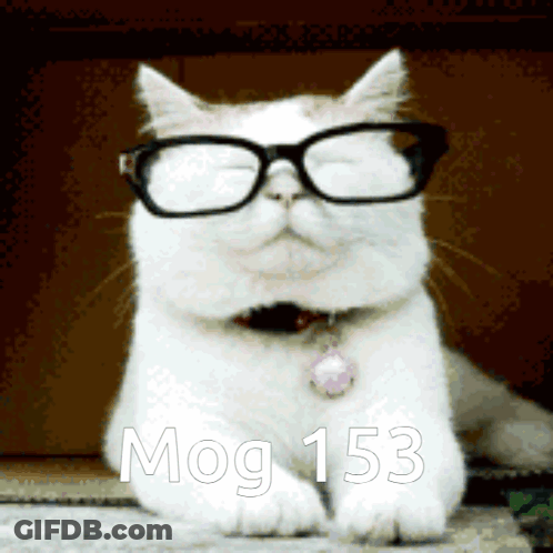 Teddy Bear Im A Genius GIF