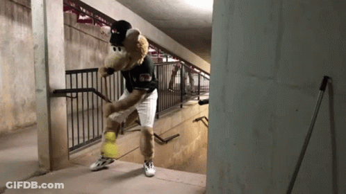 Teddy Bear In Baseball Uniform GIF