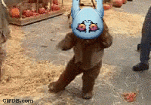 Teddy Bear In Bunny Costume GIF