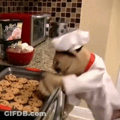 Teddy Bear In Chef Hat Cooking Cookies GIF