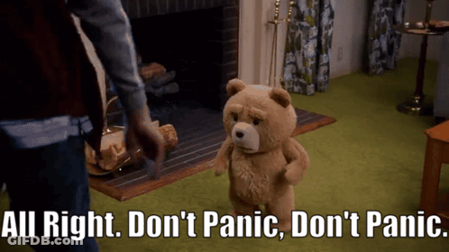 Teddy Bear In Front Of Fireplace Saying Don't Panic GIF