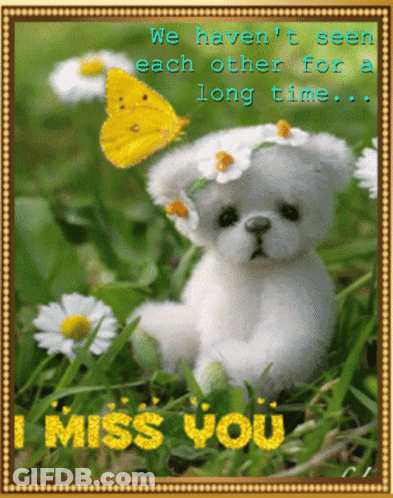 Teddy Bear In Grass With Butterfly Saying I Miss You GIF