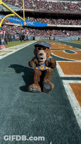 Teddy Bear In Hat With Letter B On Field GIF