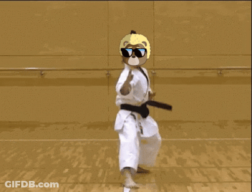 Teddy Bear In Karate Uniform And Sunglasses GIF