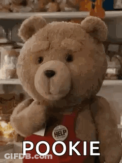Teddy Bear In Red Apron And Tie Saying Pookie GIF