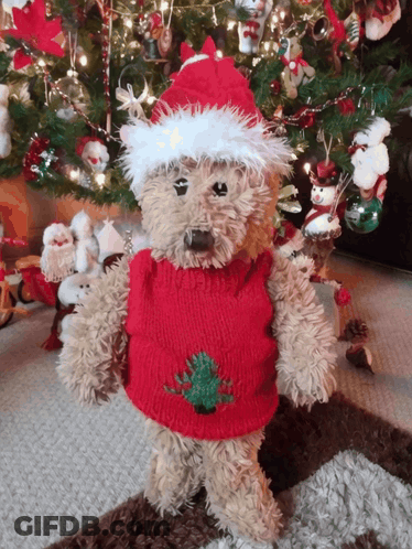 Teddy Bear In Santa Hat And Red Sweater GIF