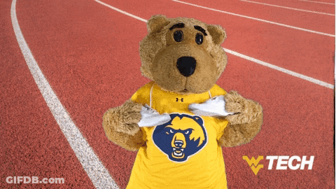 Teddy Bear In Yellow Shirt With Bear Print GIF