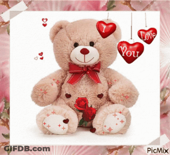 Teddy Bear GIF