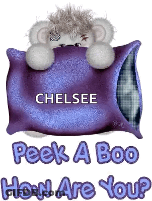 Teddy Bear Laying On Purple Pillow With Chelsea GIF