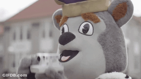 Teddy Bear Mascot Taking Picture With Camera GIF