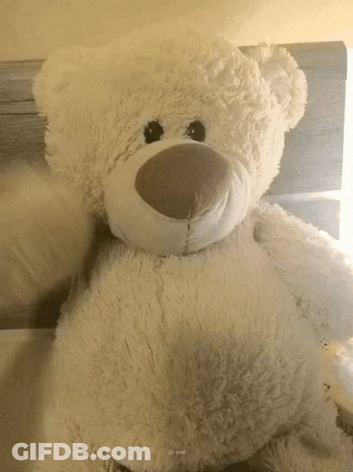 Teddy Bear GIF
