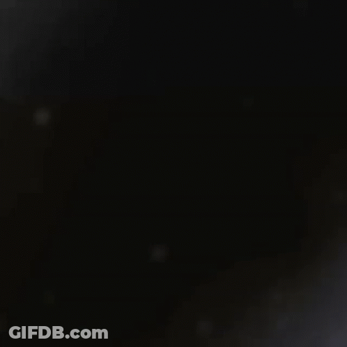 Teddy Bear Named Frostbeary GIF
