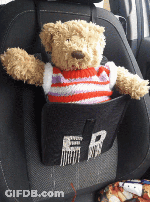Teddy Bear On Baby Car Seat GIF