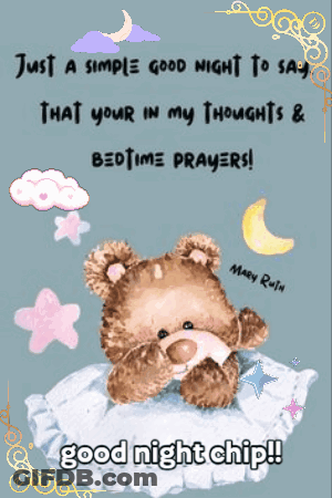 Teddy Bear On Pillow Saying Good Night GIF