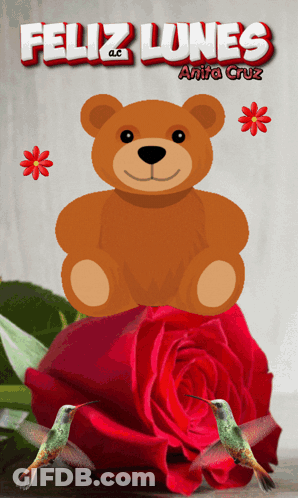 Teddy Bear On Red Rose With Two Hummingbirds GIF