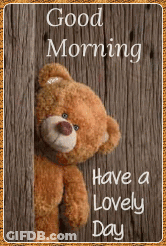 Teddy Bear Peeking Out With Good Morning GIF