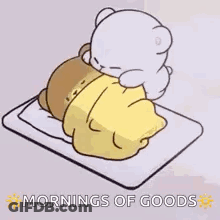 Teddy Bear Putting Blanket On Another Teddy Bear GIF