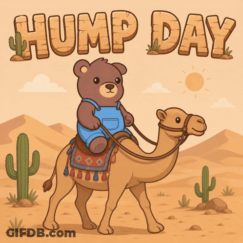 Teddy Bear Riding Camel Hump Day GIF