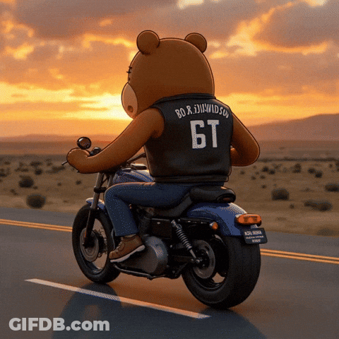 Teddy Bear Riding Motorcycle With Number 6T GIF