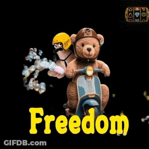 Teddy Bear Riding Scooter With Yellow Freedom GIF