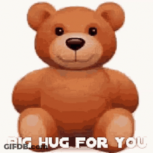 Teddy Bear Saying Big Hug For You GIF