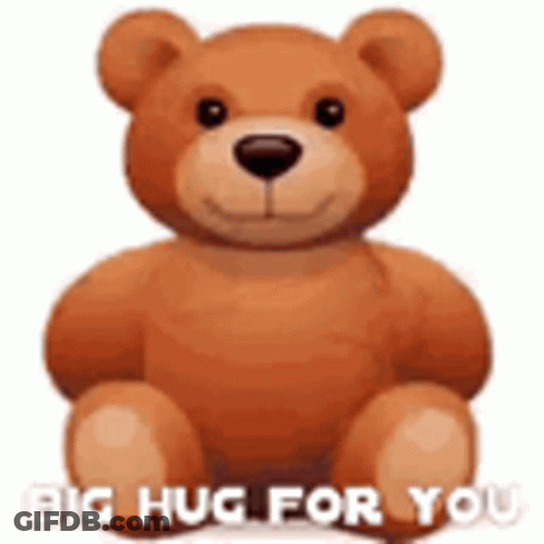 Teddy Bear Saying Big Hug For You GIF