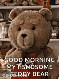 Teddy Bear Saying Good Morning GIF