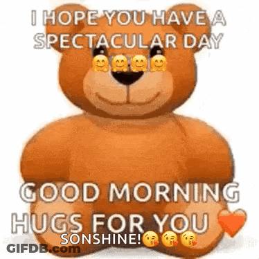 Teddy Bear Saying Have A Spectacular Day GIF