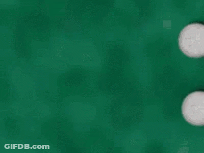Teddy Bear Saying Hope You Have A Great Day GIF