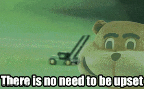 Teddy Bear Saying There Is No Need To Be Upset GIF