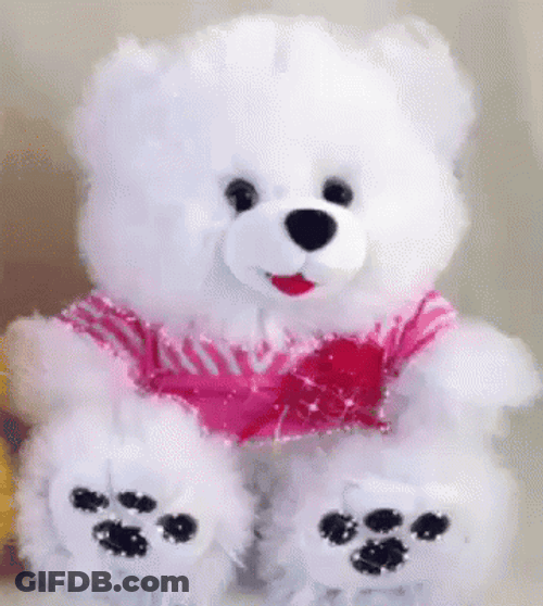 Teddy Bear Shiny Oso GIF