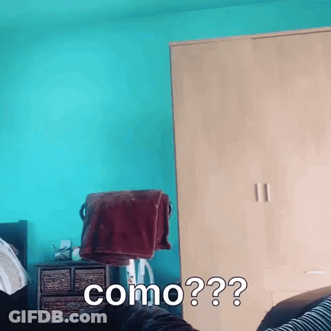 Teddy Bear Sitting At Desk Asking Why GIF