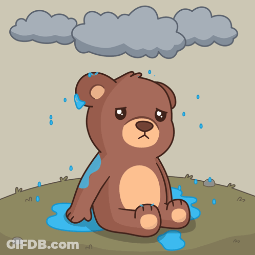 Teddy Bear Sitting In Puddle GIF