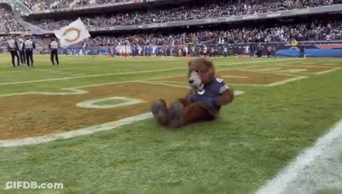 Teddy Bear Sitting On Football Field With O Flag GIF