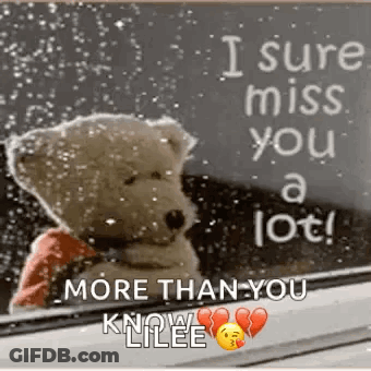 Teddy Bear Sitting With Miss You Message GIF