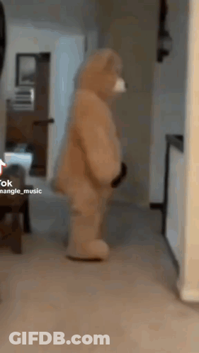 Teddy Bear Standing In Hallway GIF