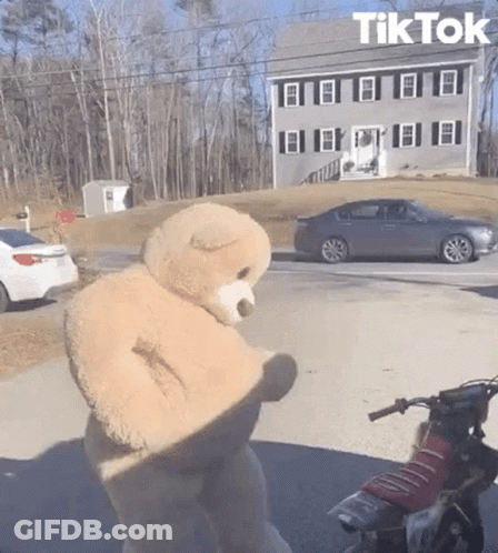 Teddy Bear Standing Next To Motorcycle And Car GIF