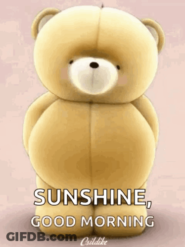 Teddy Bear Sunshine Good Morning GIF