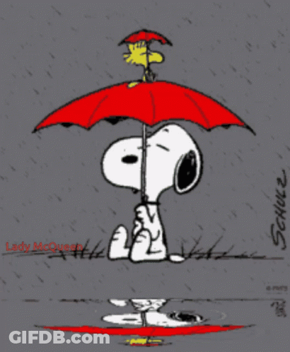 Teddy Bear Under Umbrella Rainy Day Hugs Good Morning GIF