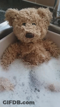 Teddy Bear Washed In Sink With Soap And Water GIF