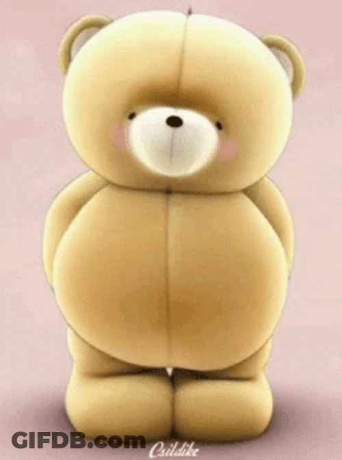Teddy Bear White Daisy Flower GIF