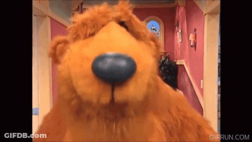 Teddy Bear With Blue Nose In Hallway With Stairs GIF