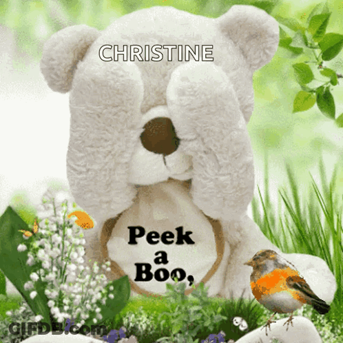 Teddy Bear With Christine Peek A Boo GIF