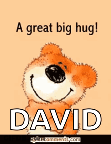Teddy Bear With Name David GIF