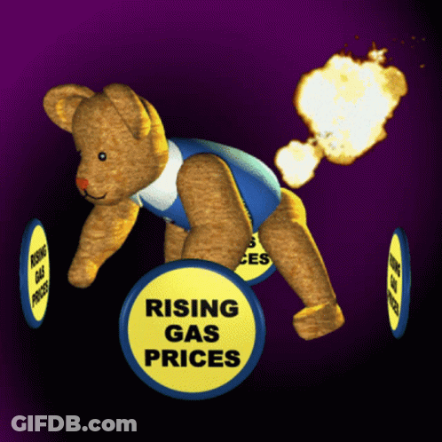Teddy Bear With Rising Gas Prices Sign GIF