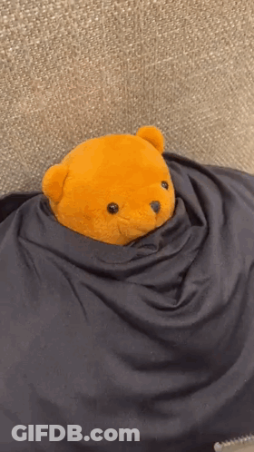 Teddy Bear Wrapped In Black Blanket GIF